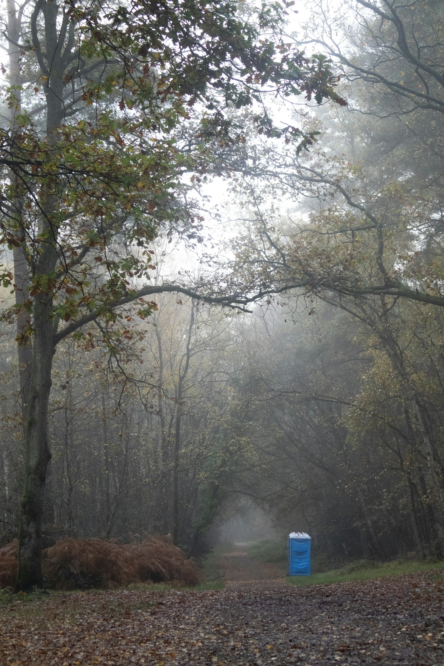 Choosing the Right Portable Restroom for Your Private Gathering